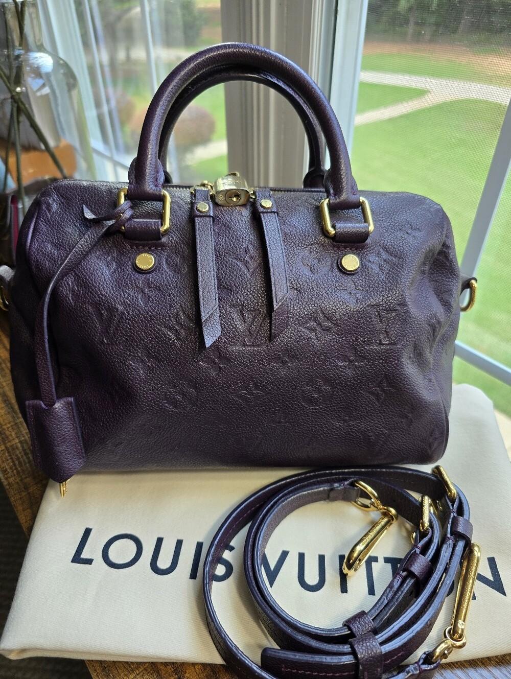 Louis Vuitton Speedy Bandoulière 25 in Aubergine Empriente Leather